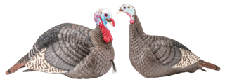 Hunter Specialties Strut-Lite Jake and Feeding Hen Combo Decoys feature mounting stakes